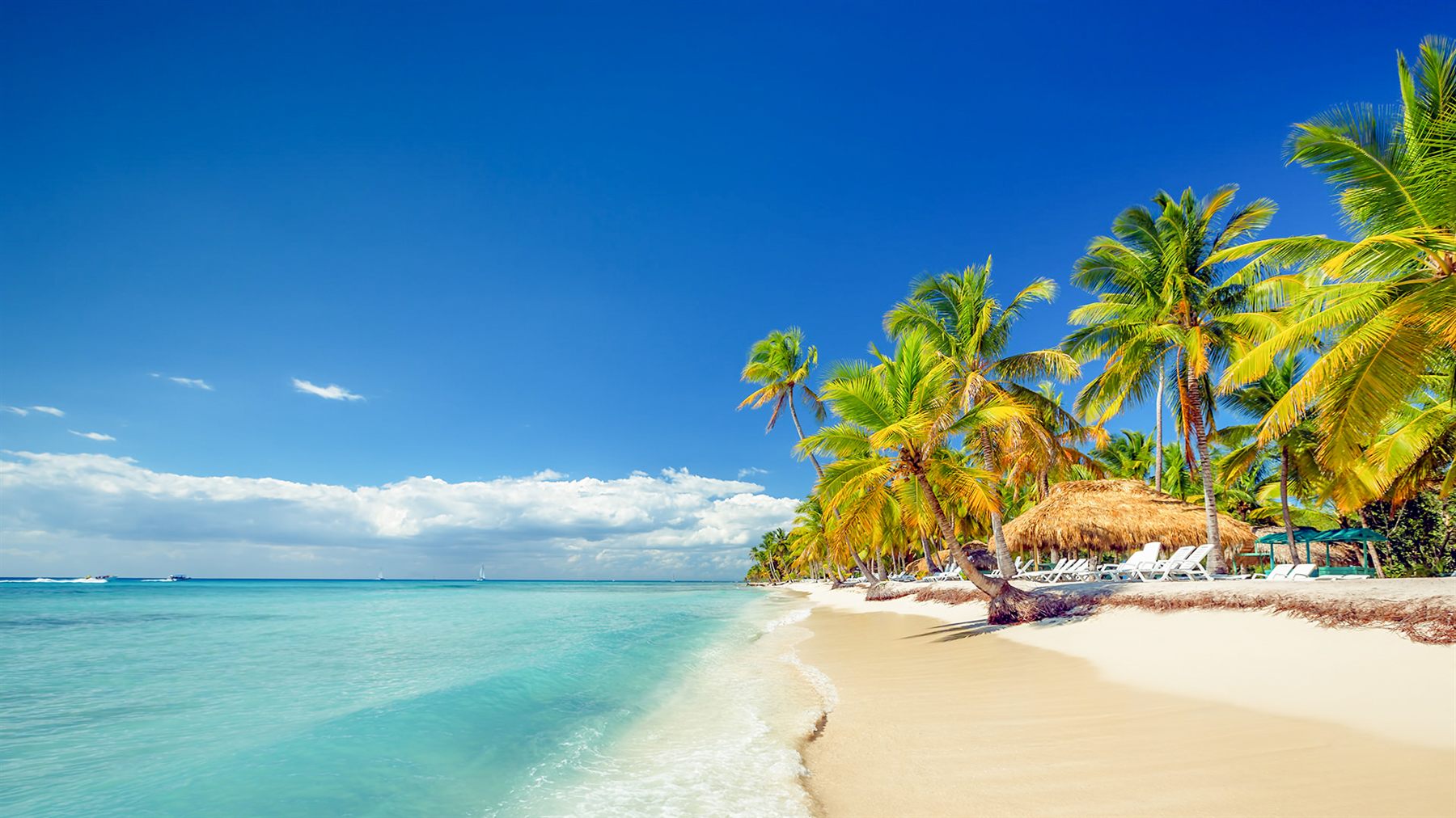 Playa con palmeras y agua turquesa en Isla Saona